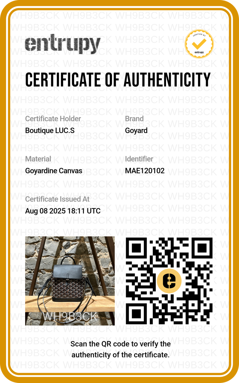 Goyard 2019 Black Goyardine Mini Alpin Convertible Backpack