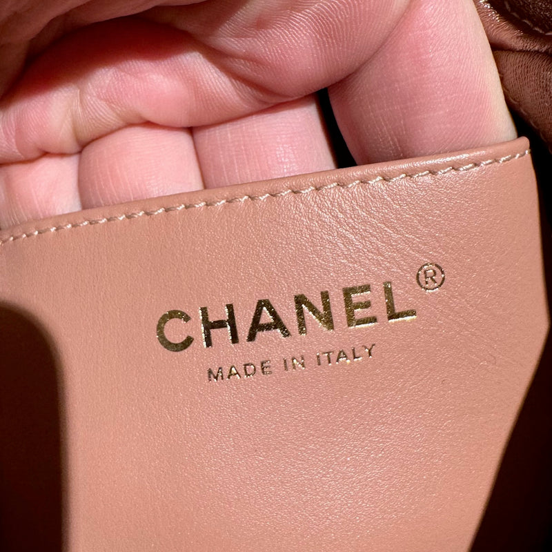 Chanel 22 Mini Metallic Pink Quilted Hobo Bag