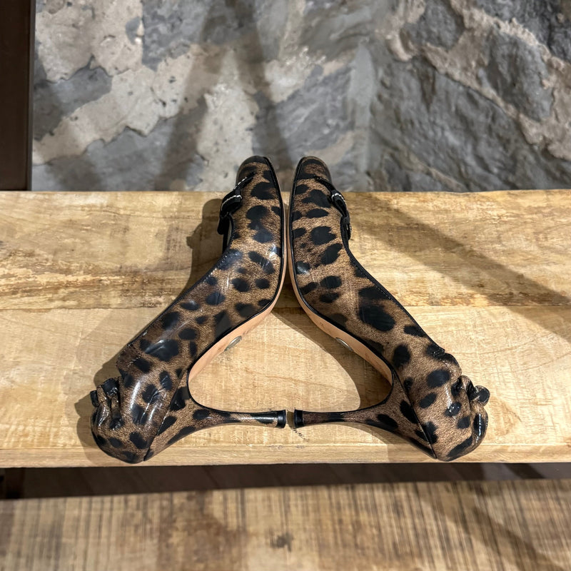 Dolce & Gabbana Leopard Patent Elastic Bow Pumps