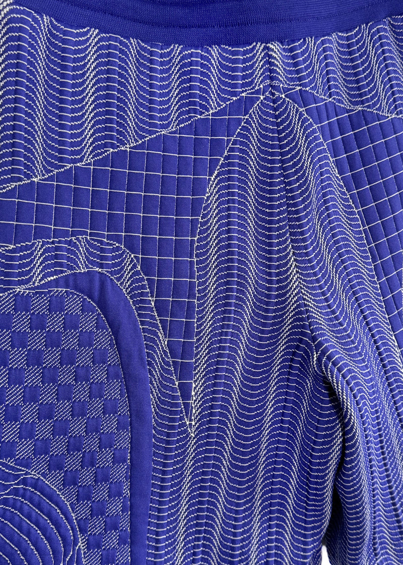 Louis Vuitton 2022 Blue Graphic Print Damier Jogger Short
