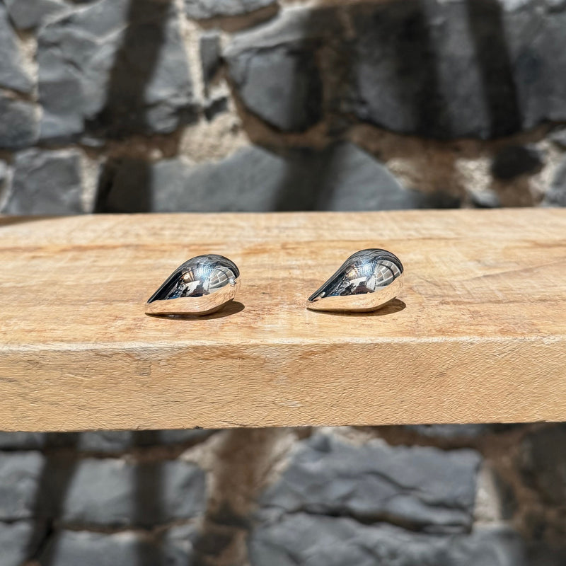 Bottega Veneta Silver Small Drop Earrings