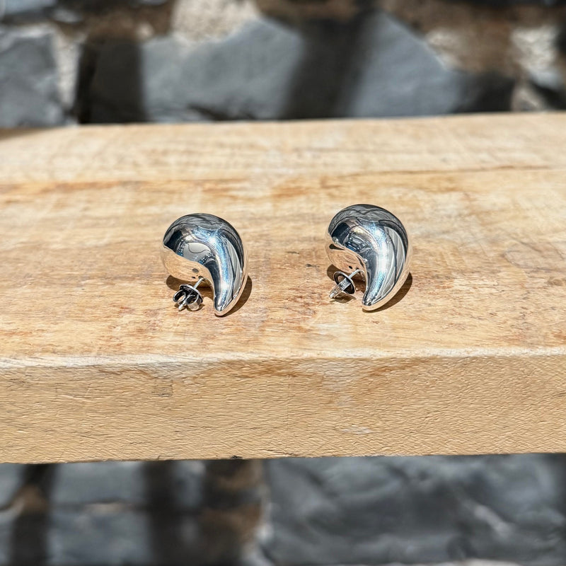 Bottega Veneta Silver Small Drop Earrings