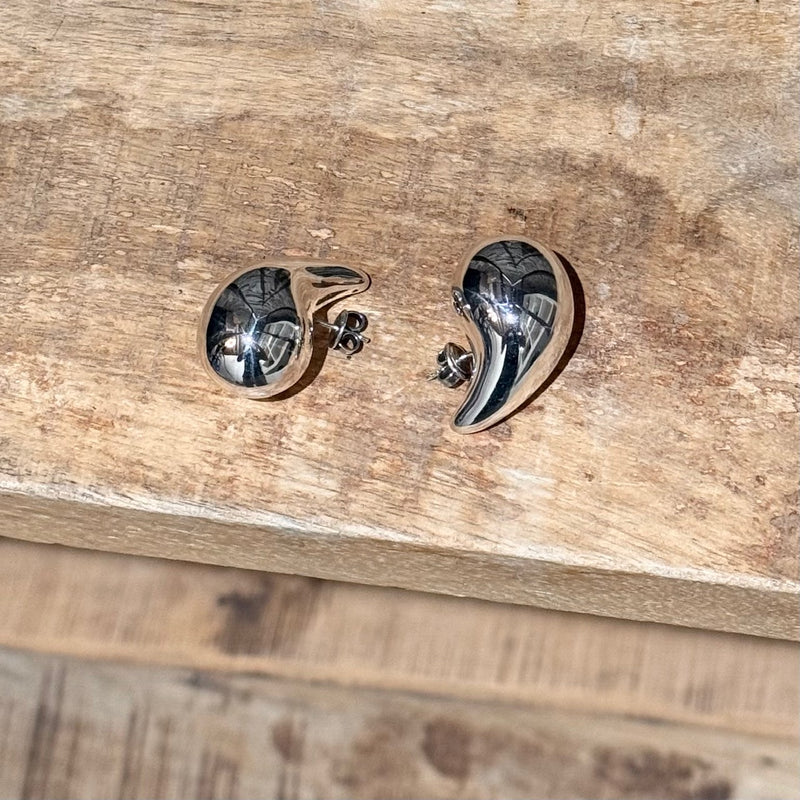 Bottega Veneta Silver Small Drop Earrings