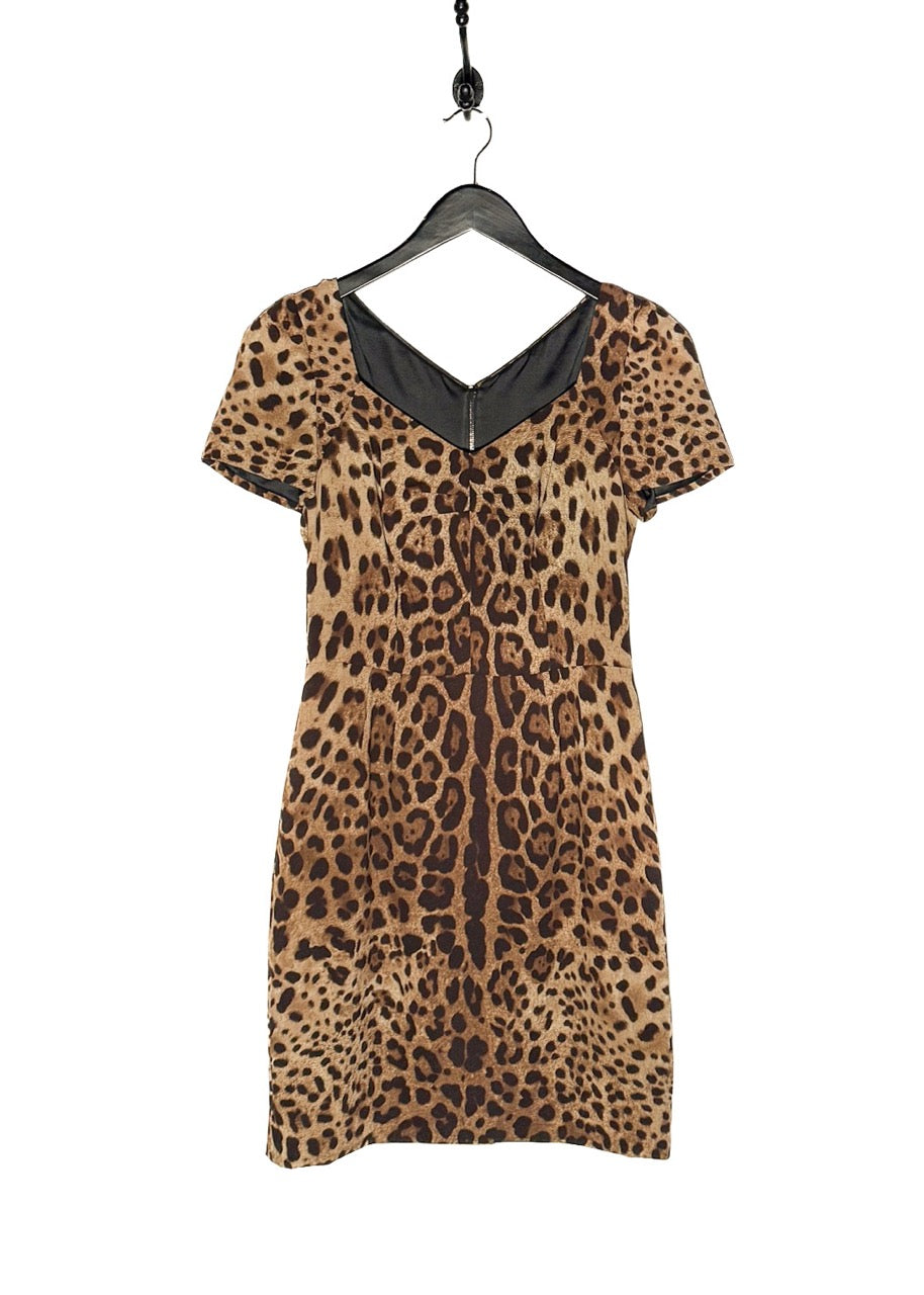 Main photo of Dolce & Gabbana Brown Leopard Print Short Sleeves Silk Dress