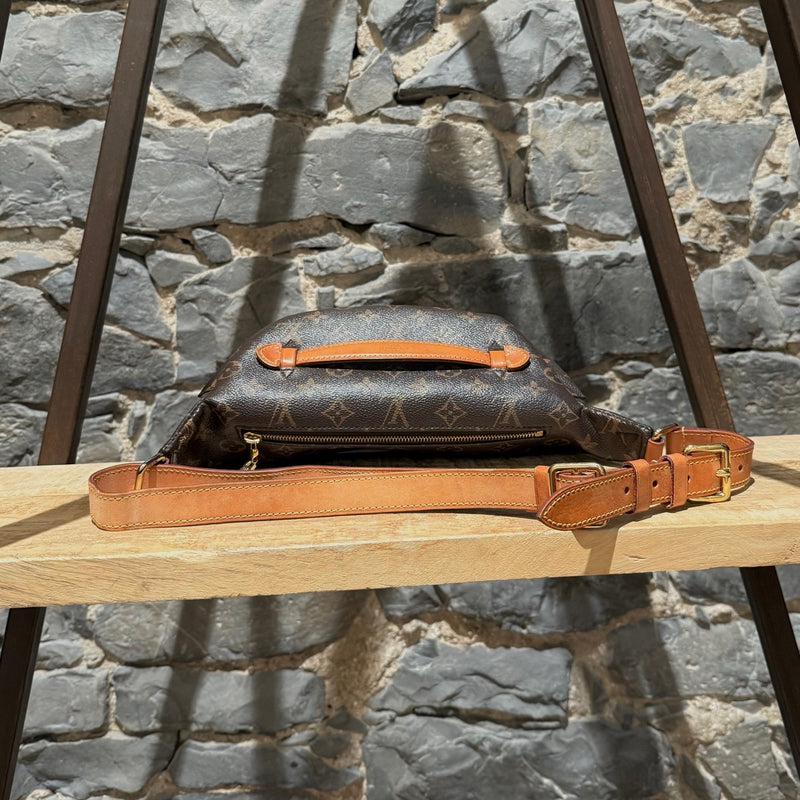 Louis Vuitton 2019 Brown Monogram Bum Bag