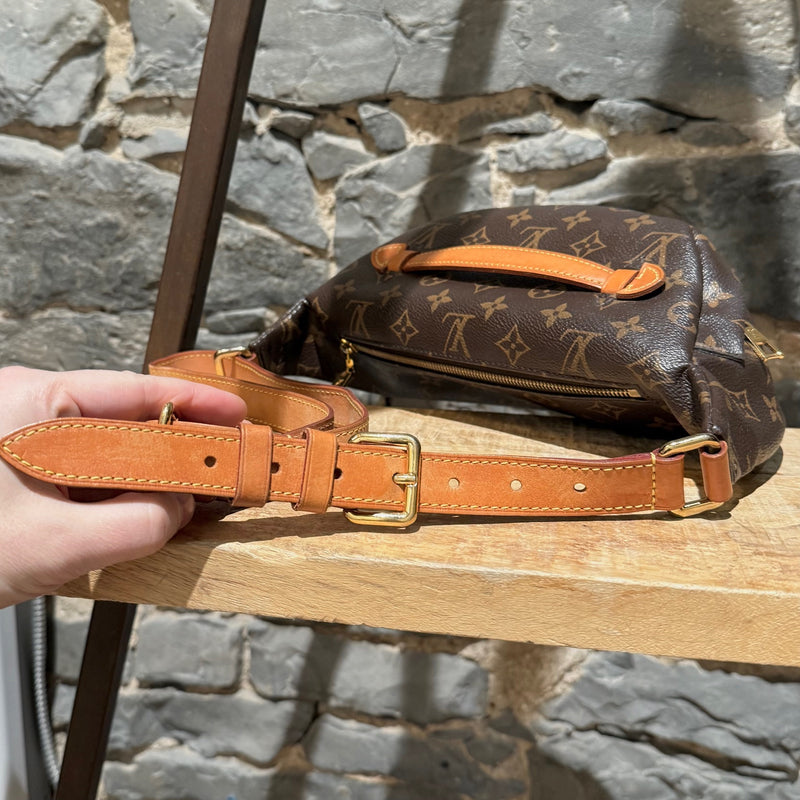 Louis Vuitton 2019 Brown Monogram Bum Bag