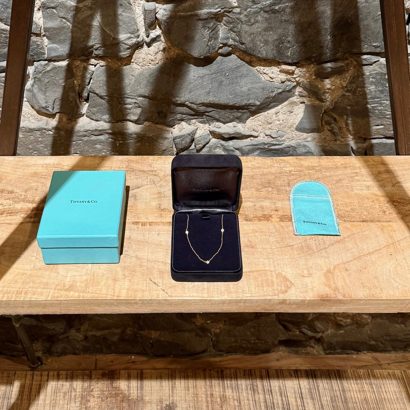 A full set display including the Tiffany & Co. necklace, black jewelry box, Tiffany blue box, and turquoise pouch, all on a wooden table.